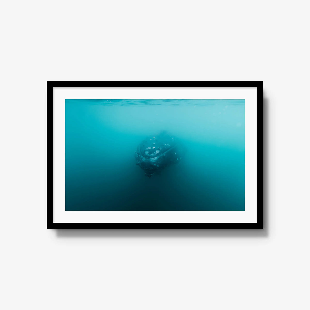 Humpback — large / black / mat