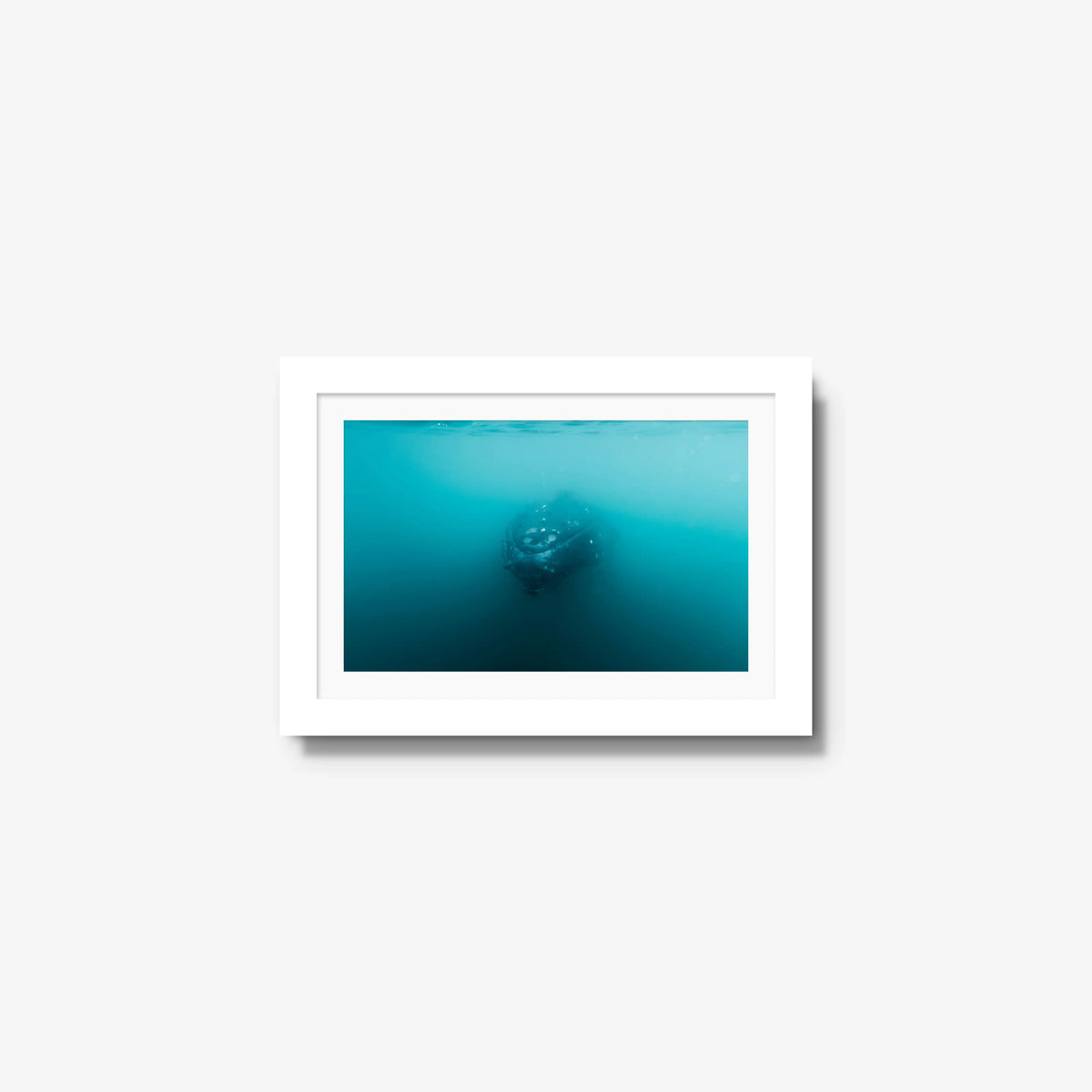 Humpback — mini / white / mat