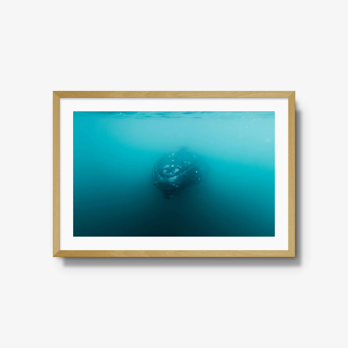Humpback — large / natural / mat