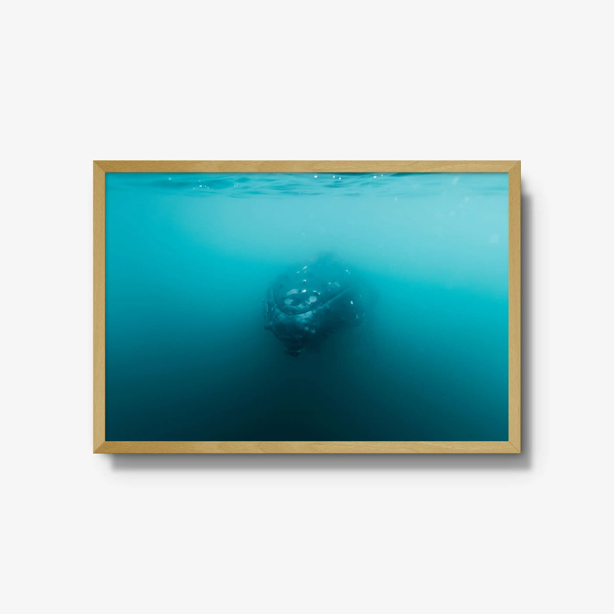 Humpback — large / natural / full