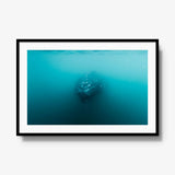 Humpback — gallery / black / mat