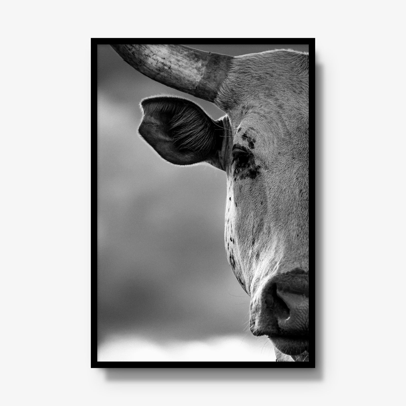 The Watcher I