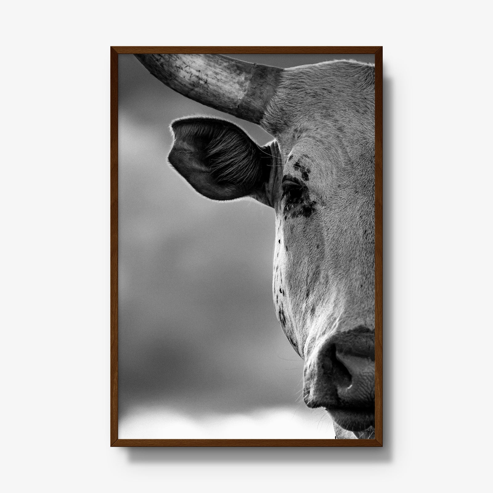 The Watcher I