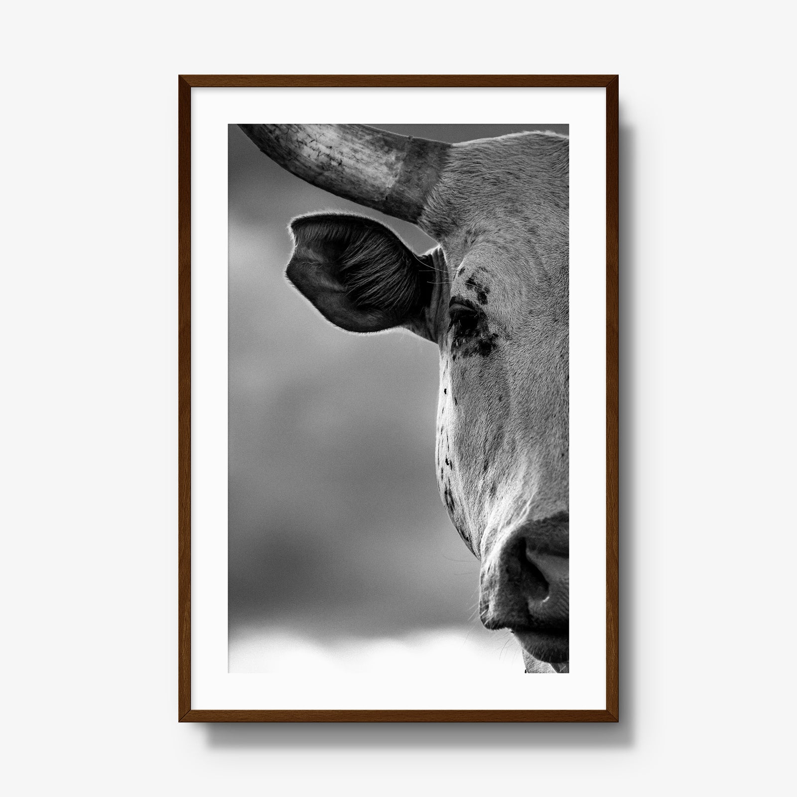 The Watcher I