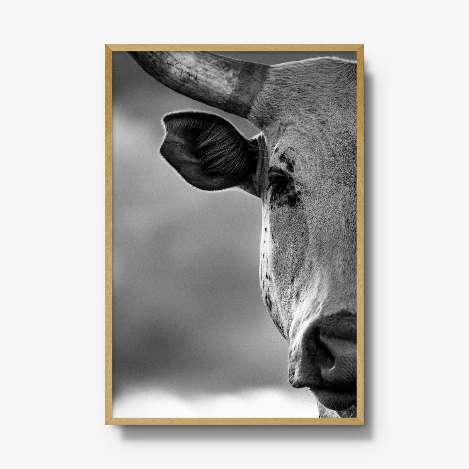 The Watcher I