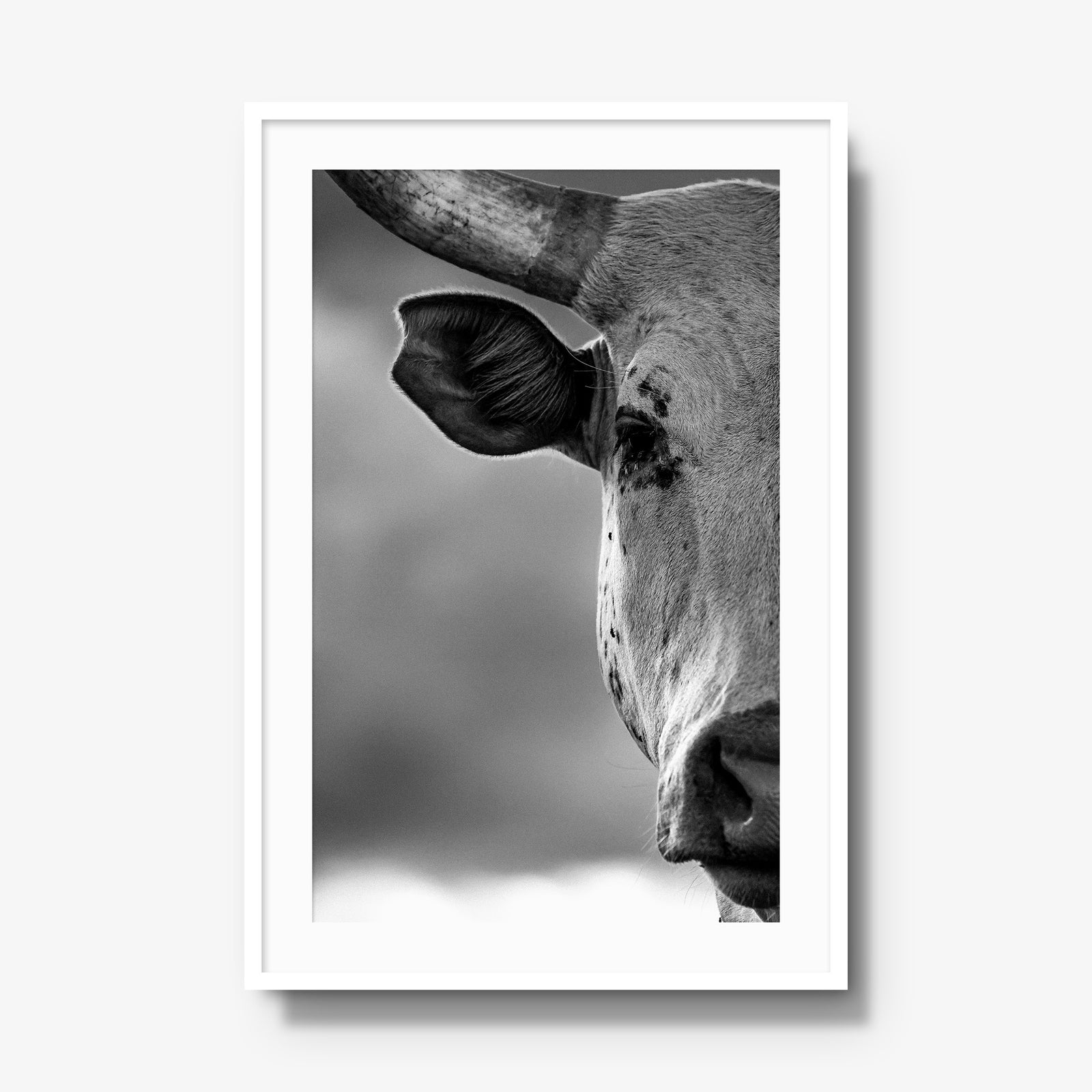 The Watcher I