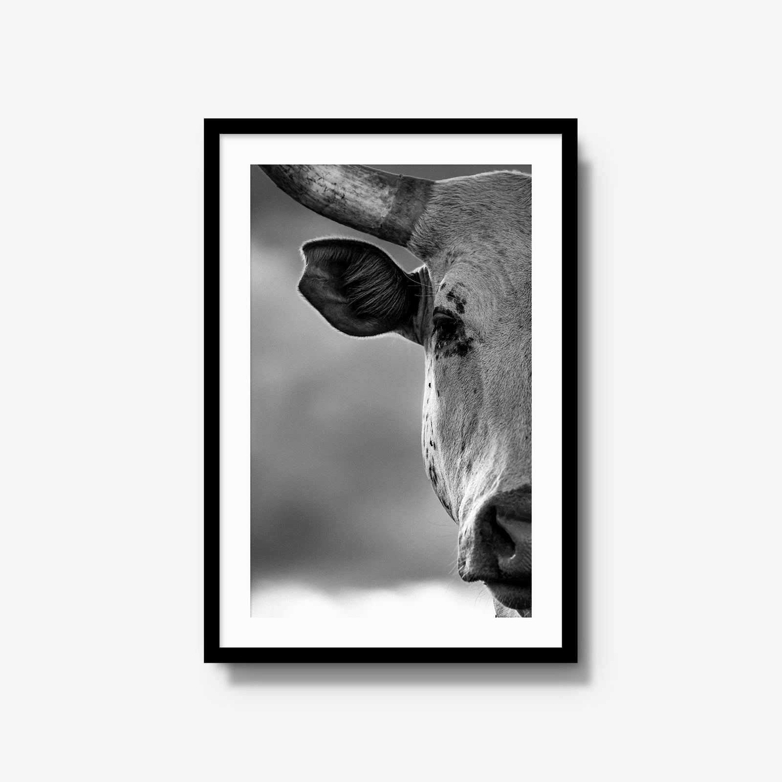 The Watcher I