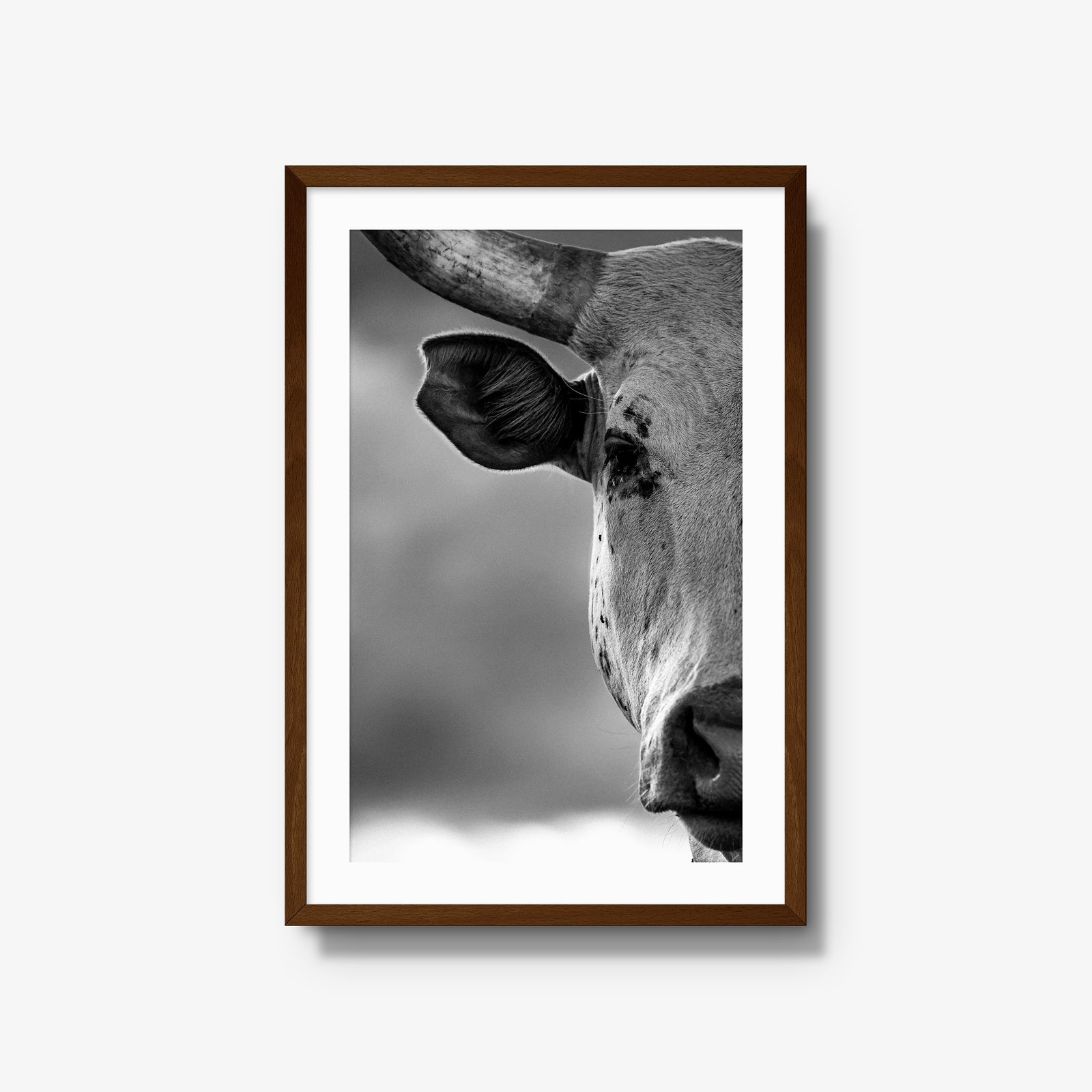 The Watcher I