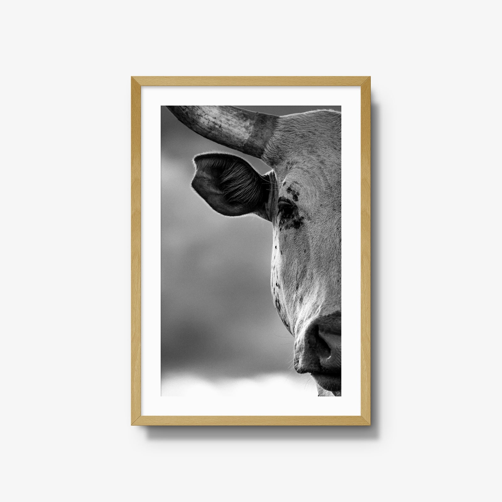 The Watcher I