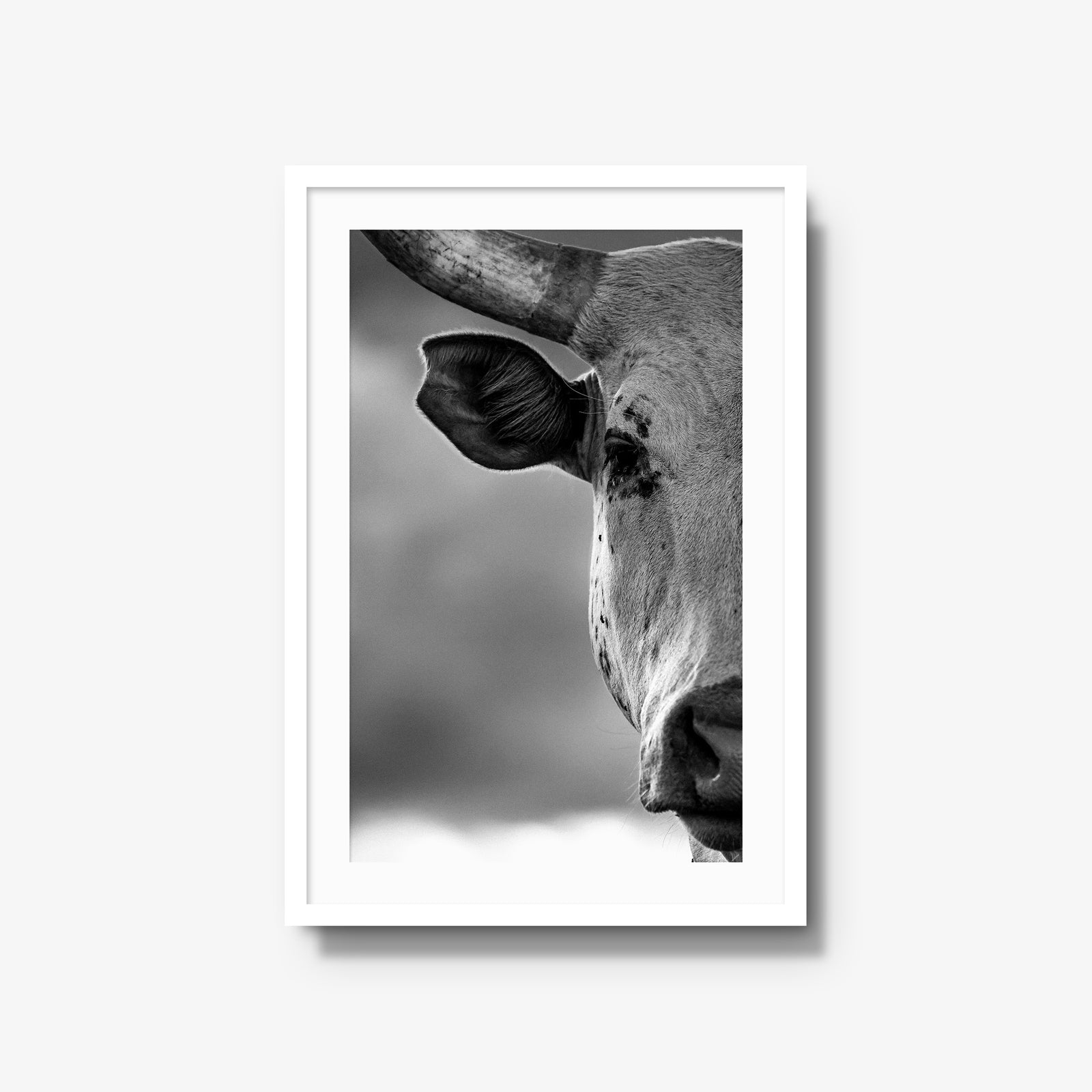 The Watcher I