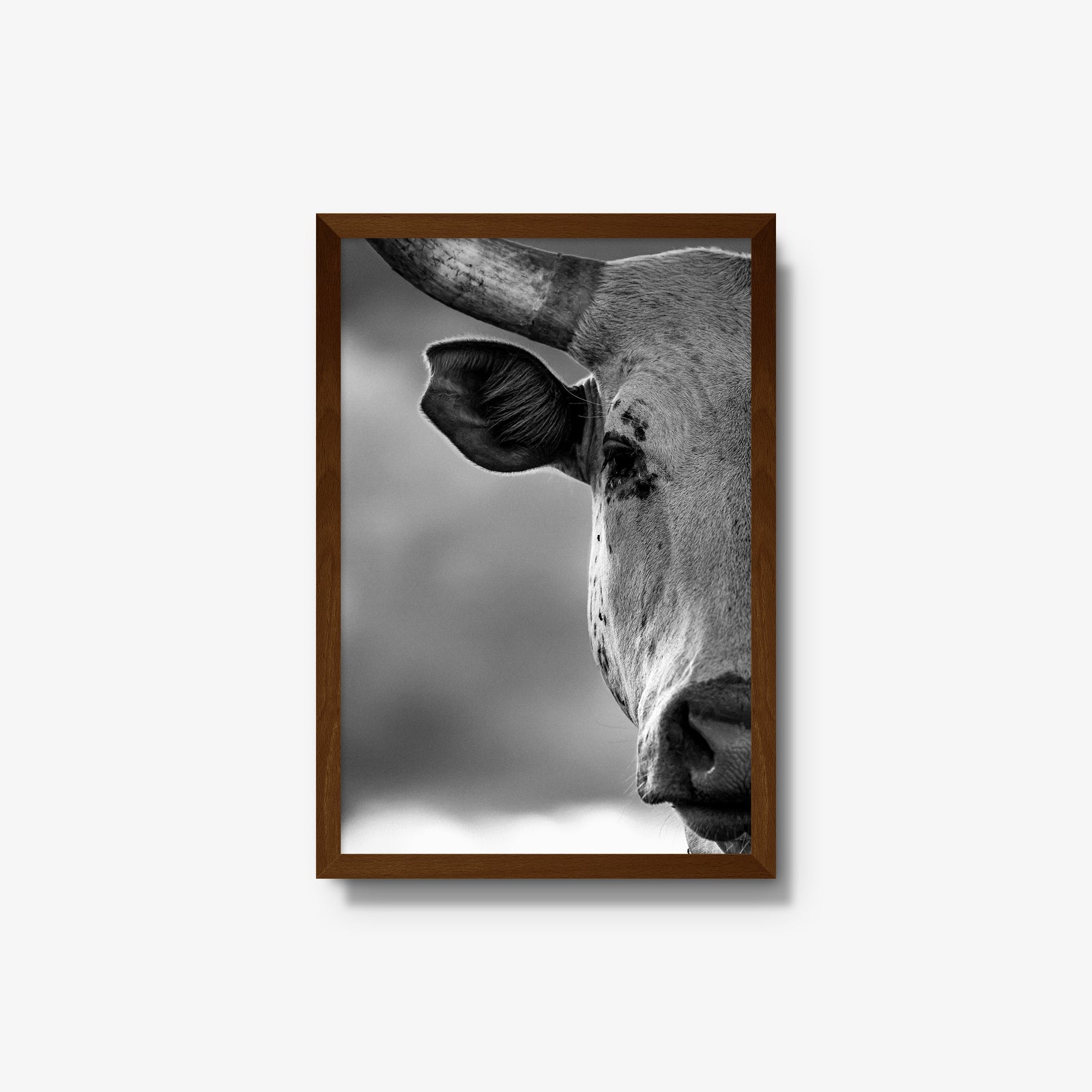 The Watcher I