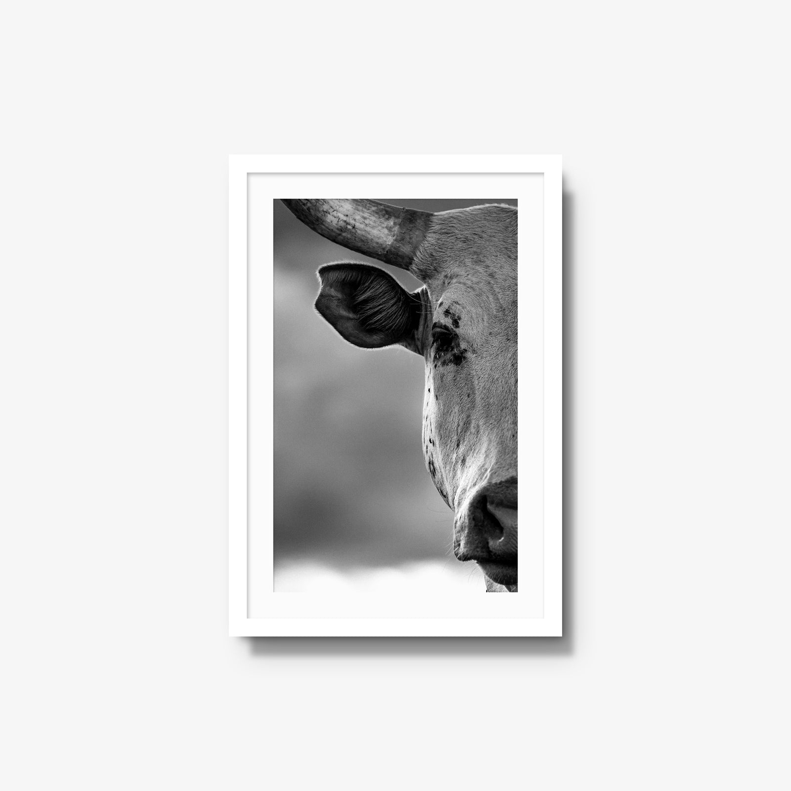 The Watcher I