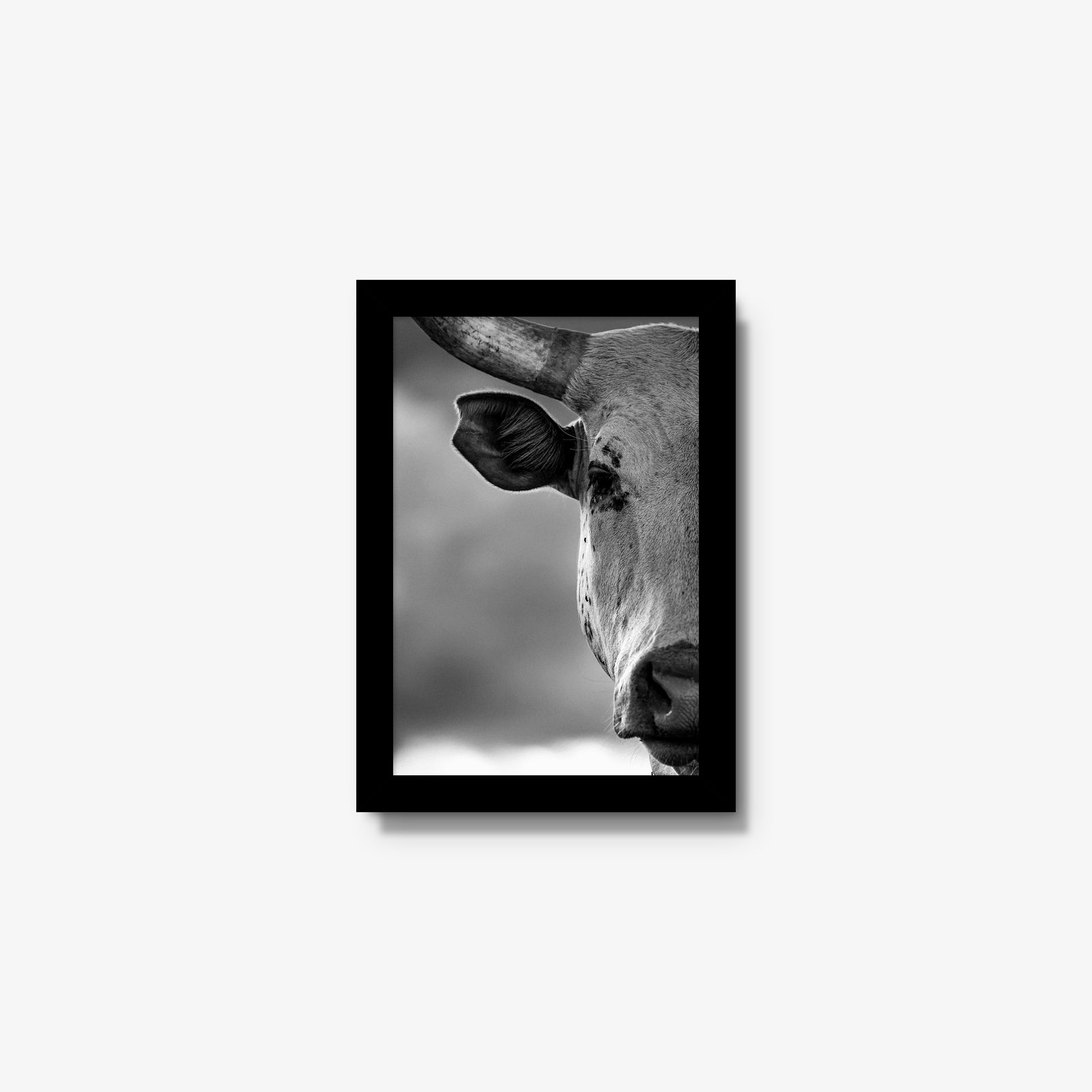 The Watcher I