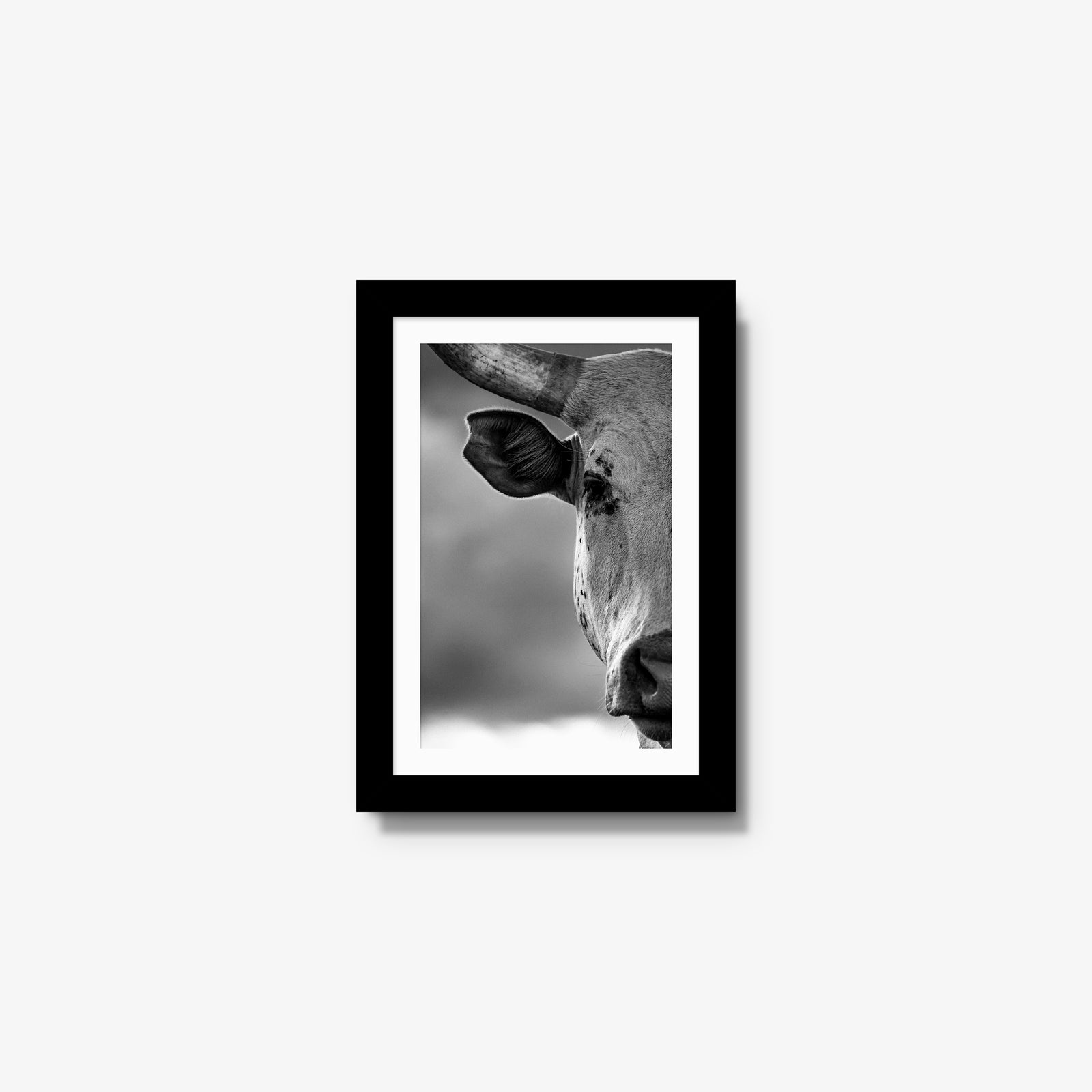 The Watcher I