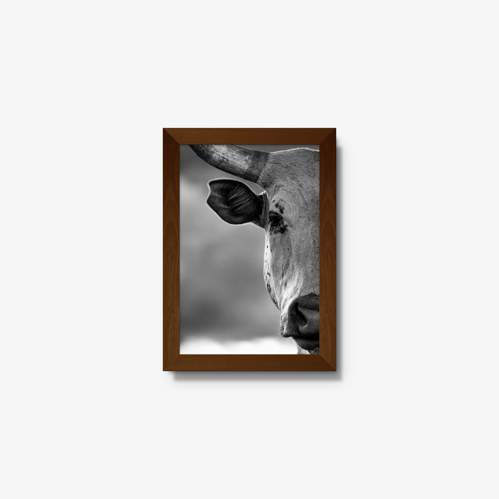 The Watcher I