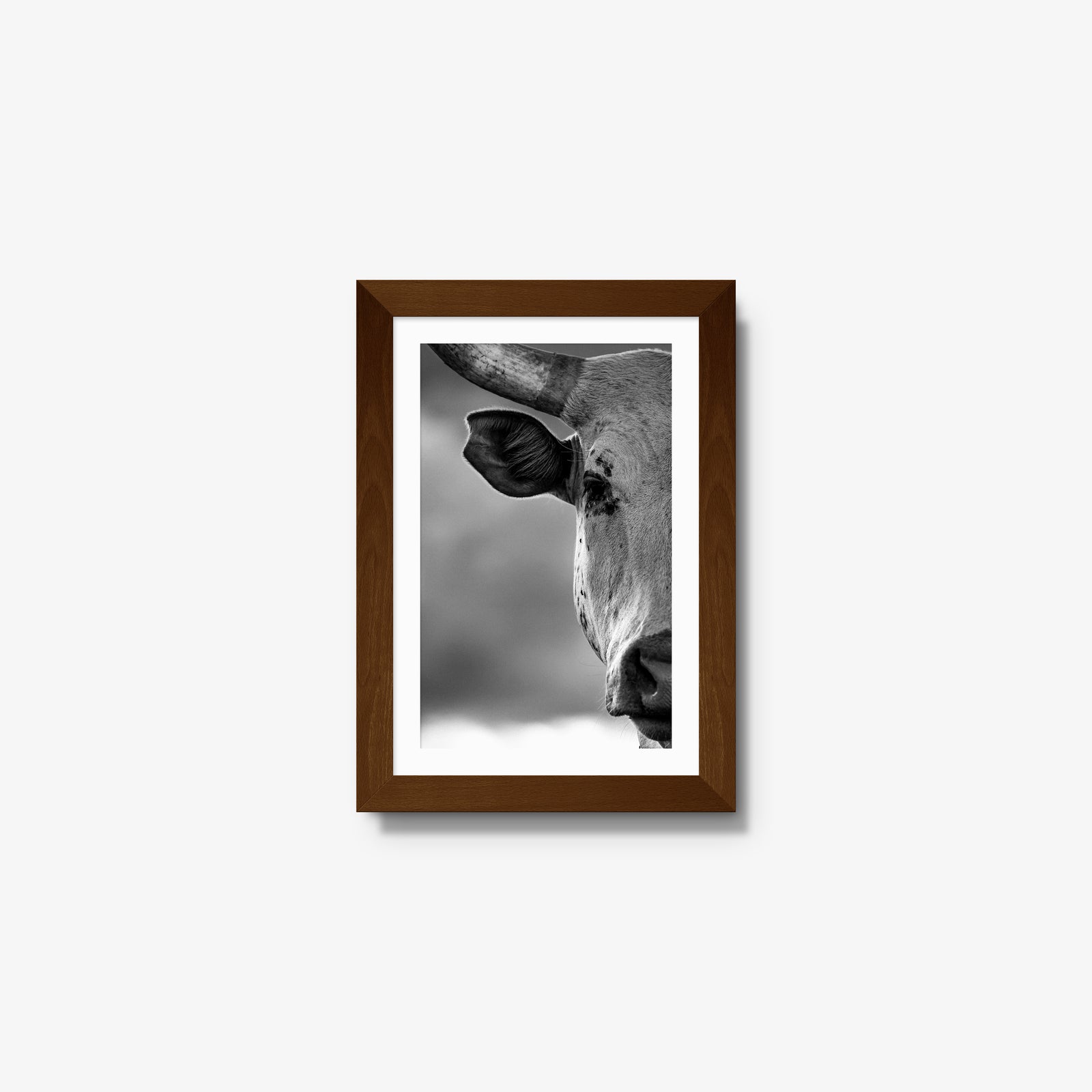 The Watcher I