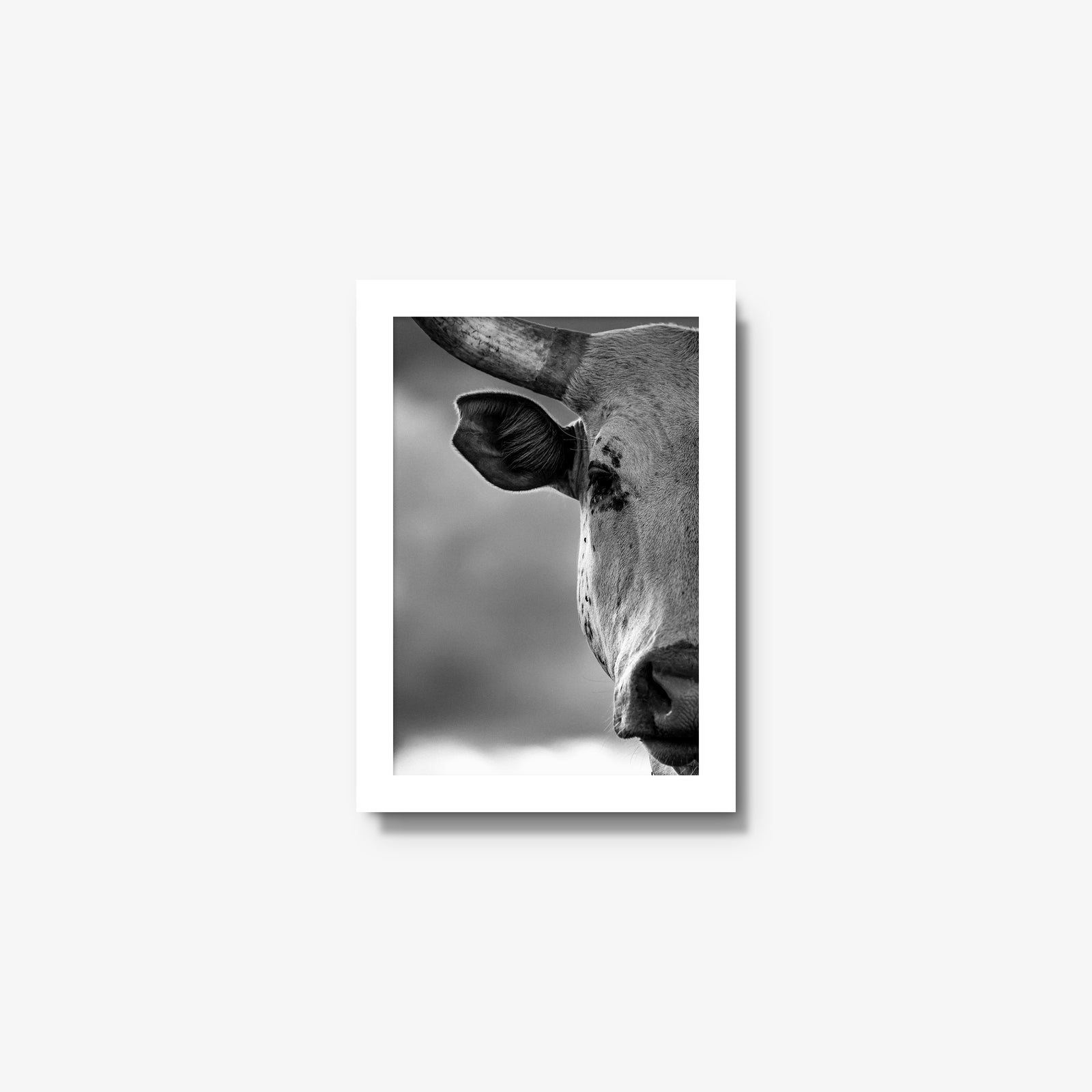 The Watcher I