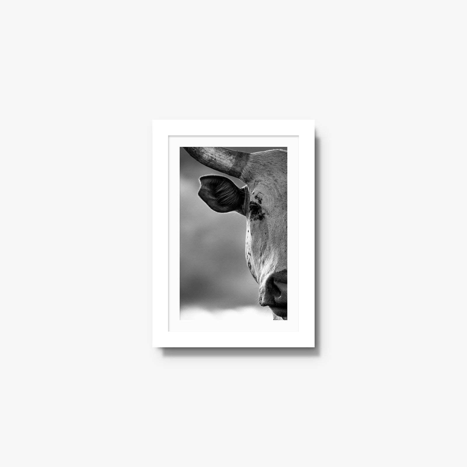 The Watcher I
