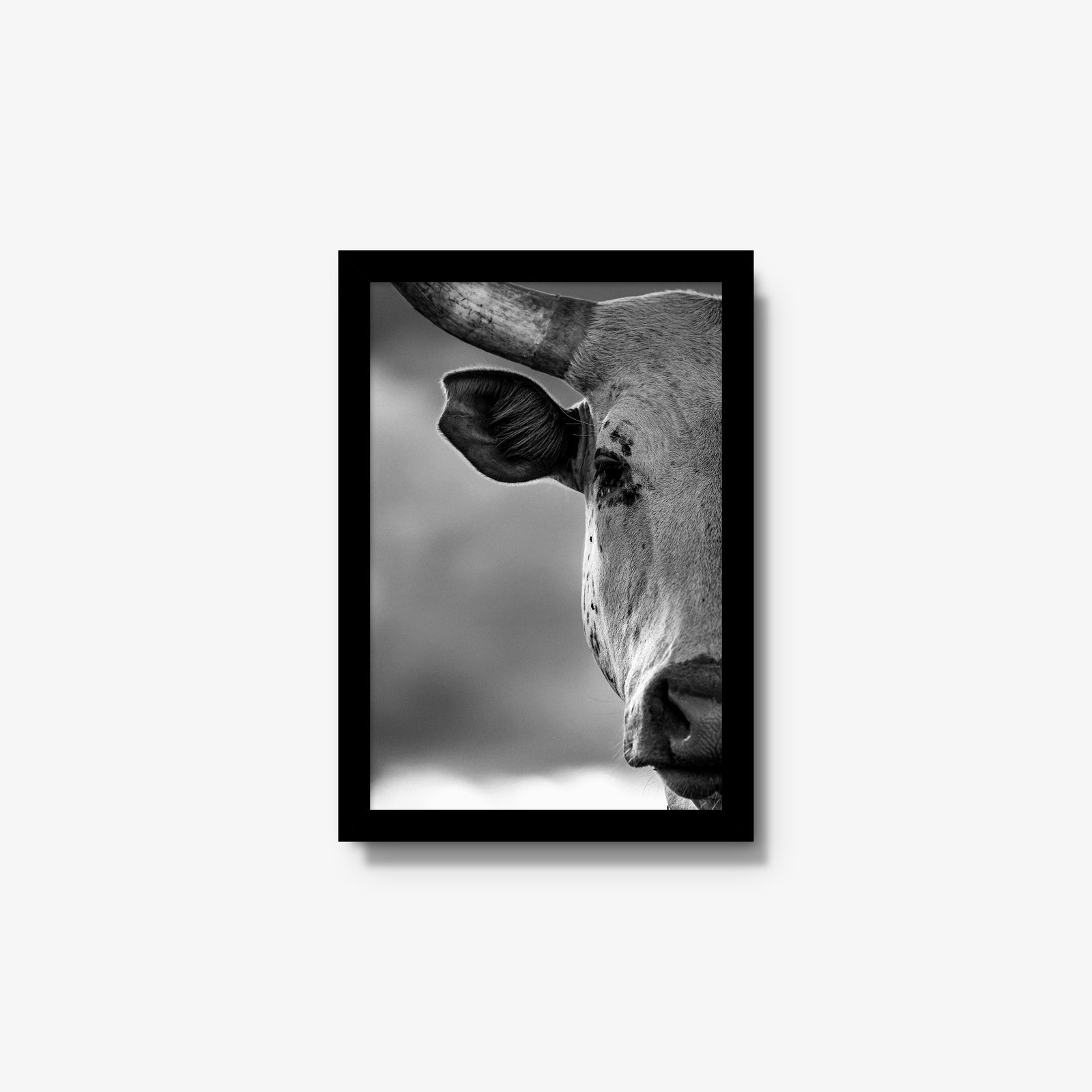 The Watcher I