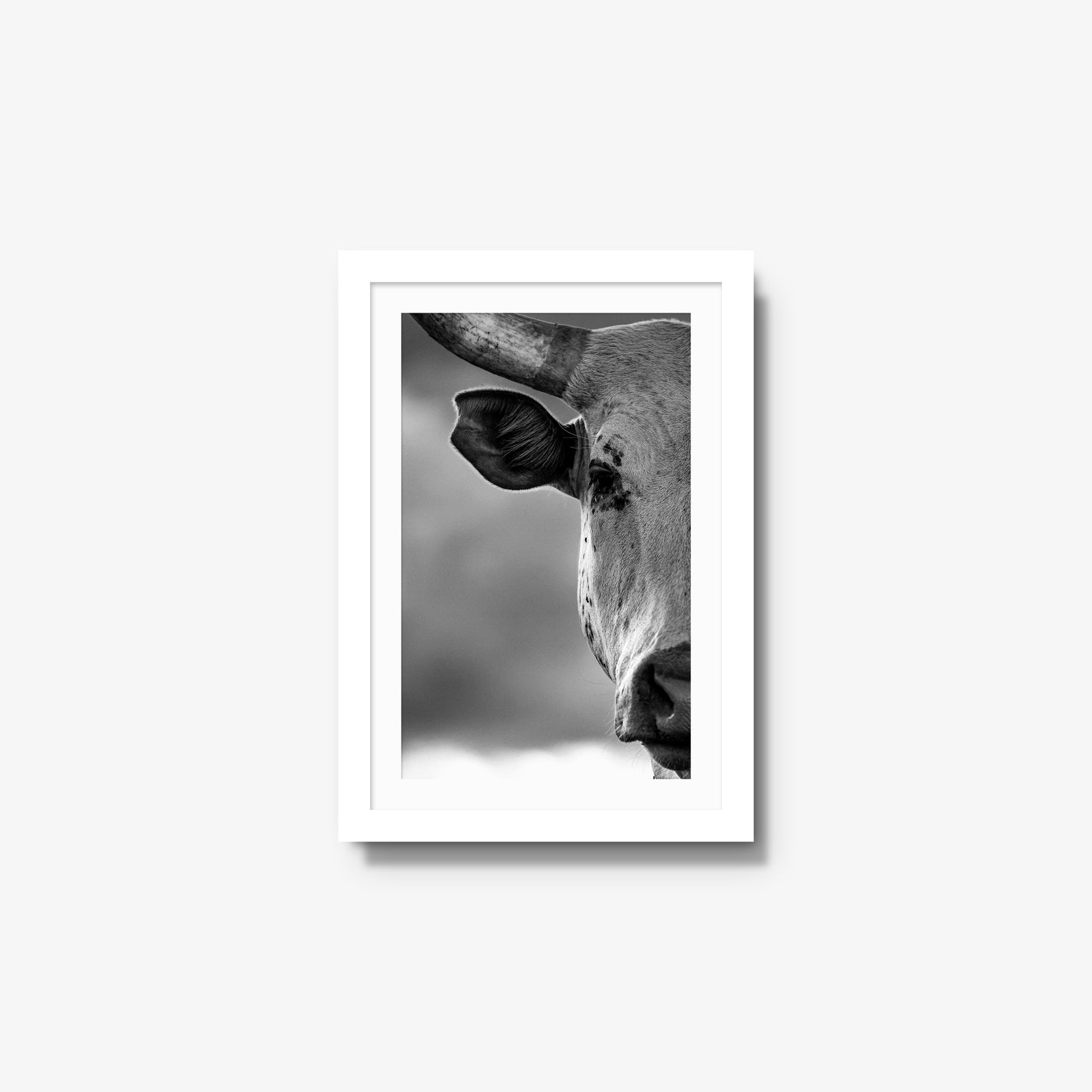 The Watcher I
