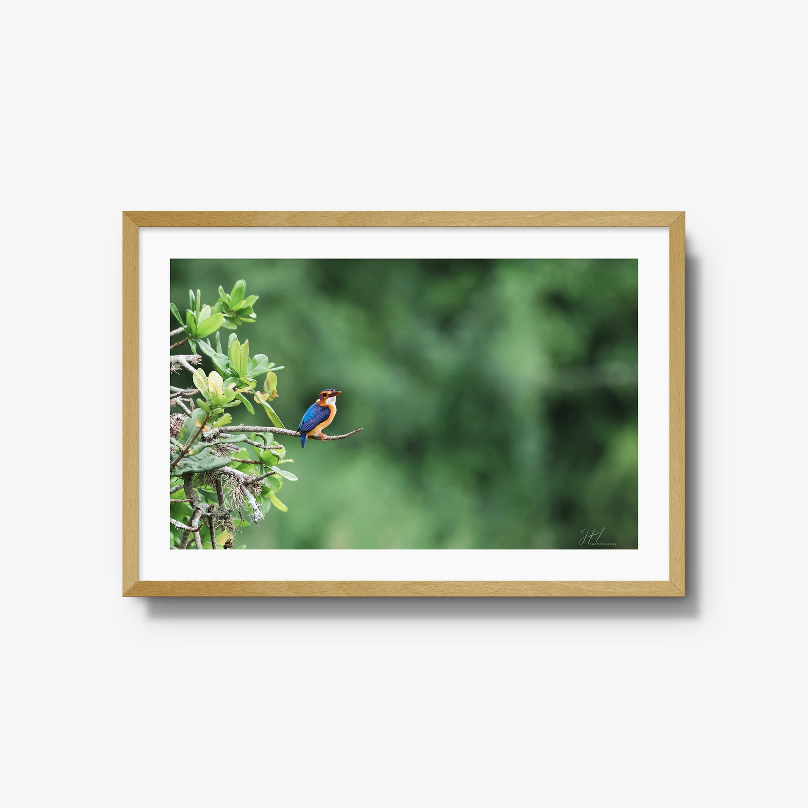 The Kingfisher