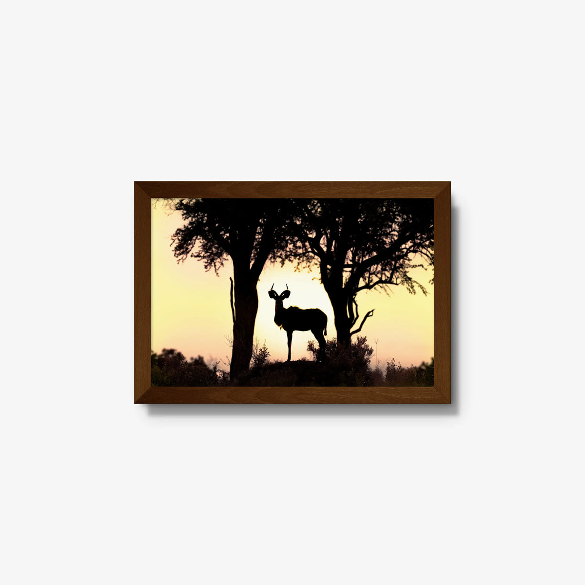 Kudu Sunset