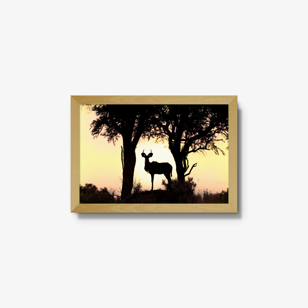 Kudu Sunset