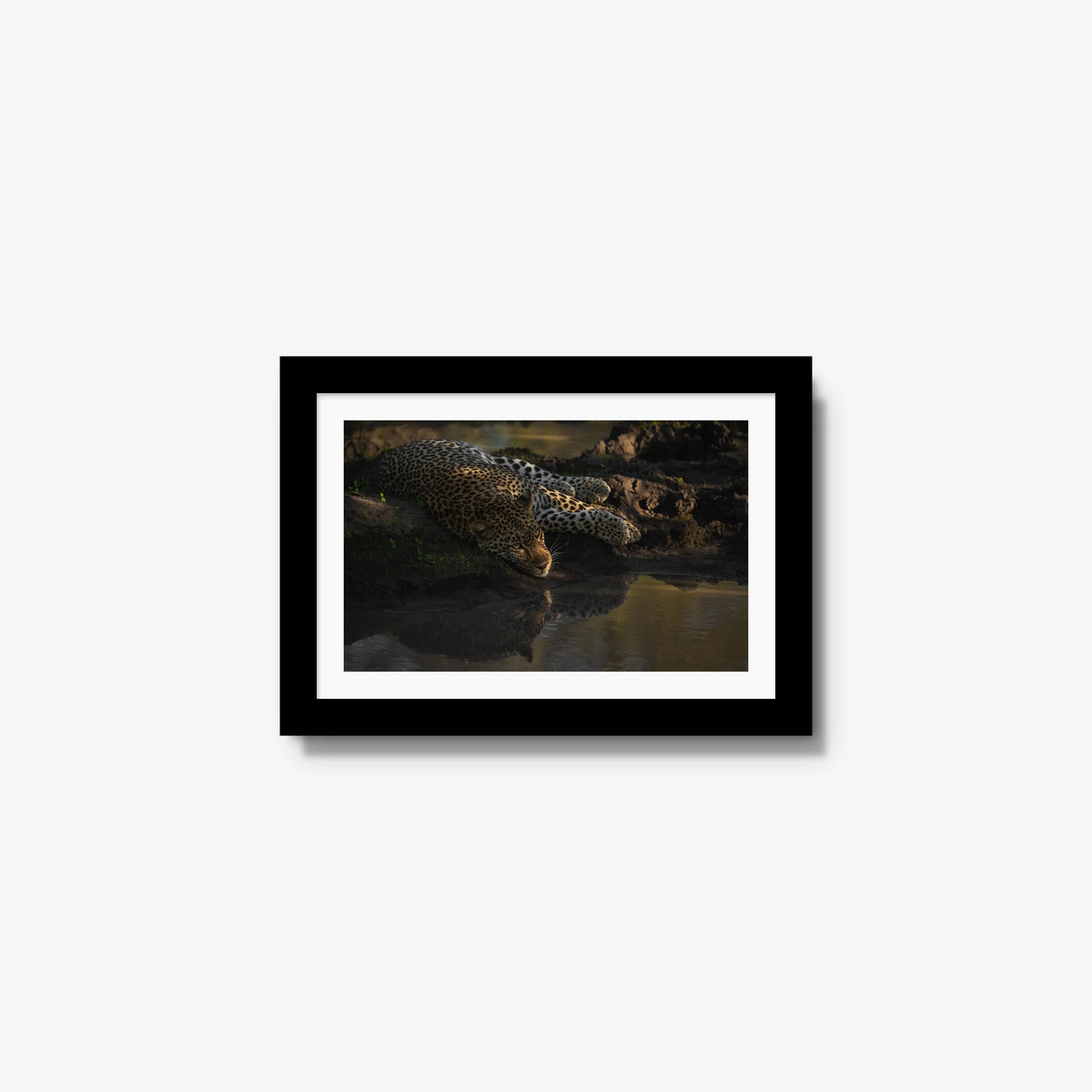 Last light at the waterhole — mini / black / mat