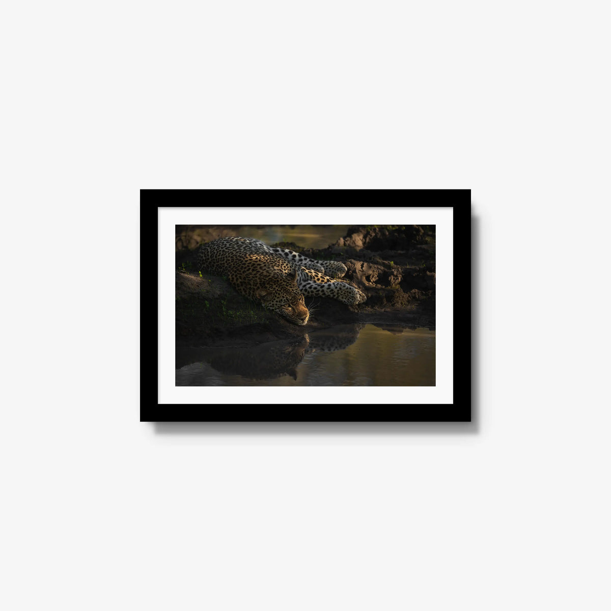 Last light at the waterhole — small / black / mat