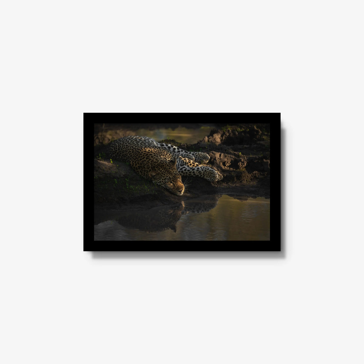Last light at the waterhole — small / black / full