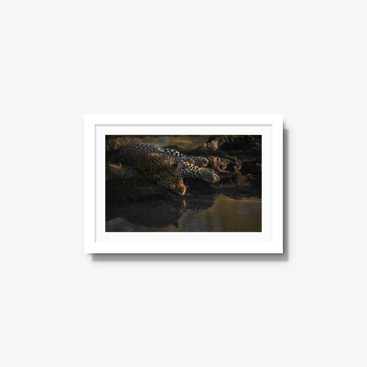 Last light at the waterhole — small / white / mat