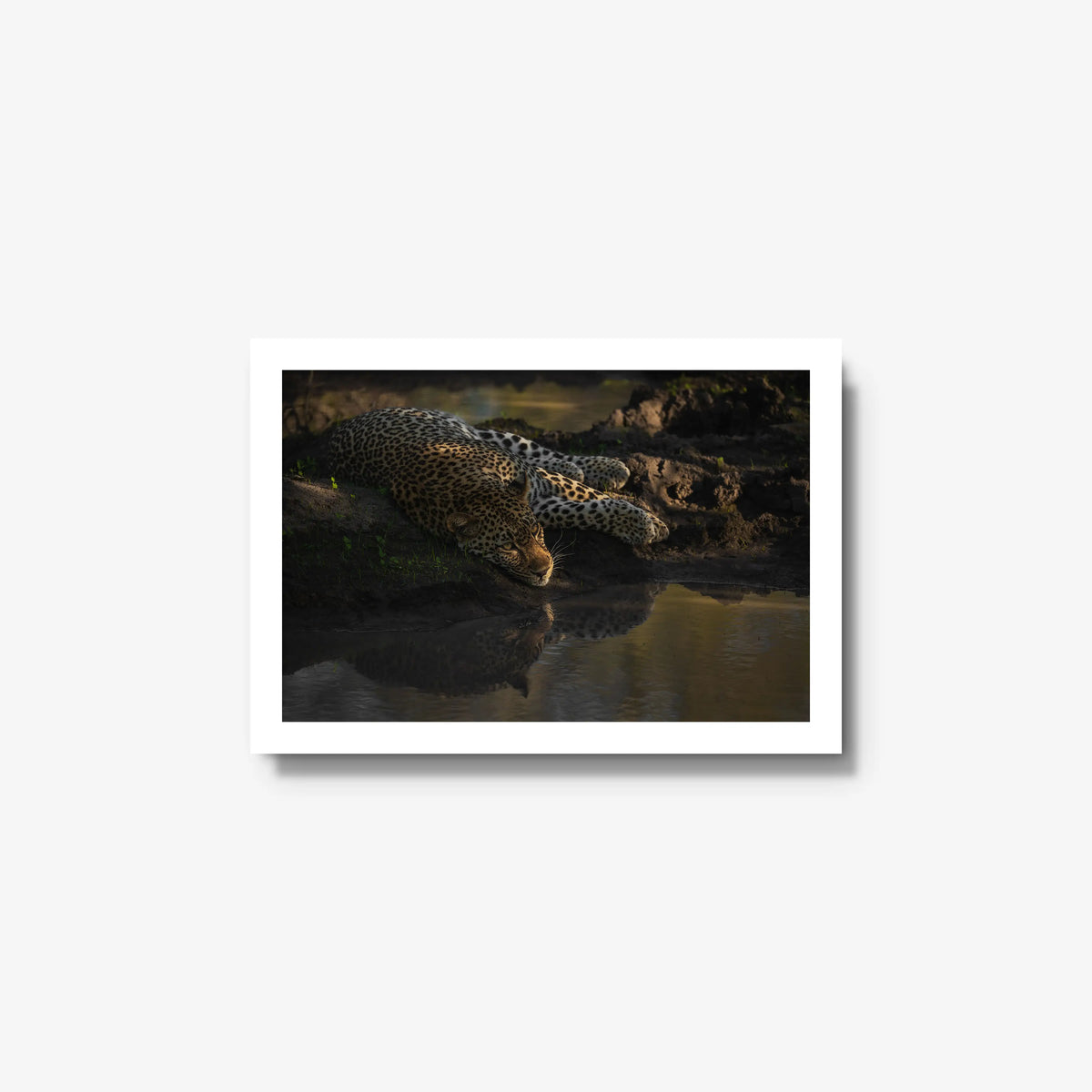 Last light at the waterhole — small / white / full