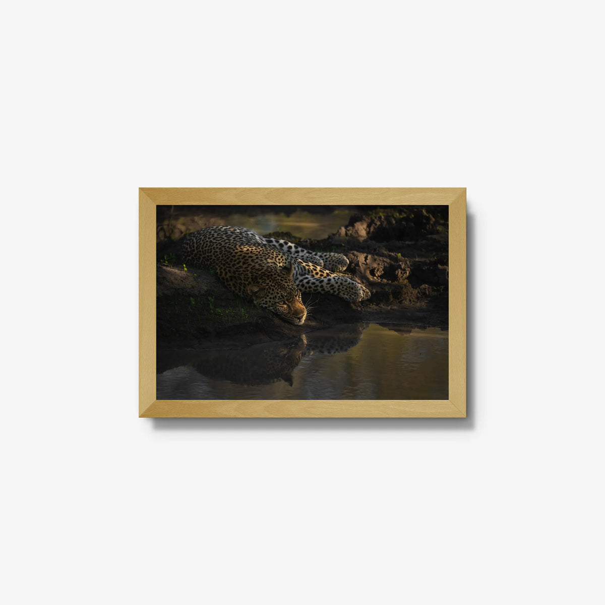 Last light at the waterhole — small / natural / full