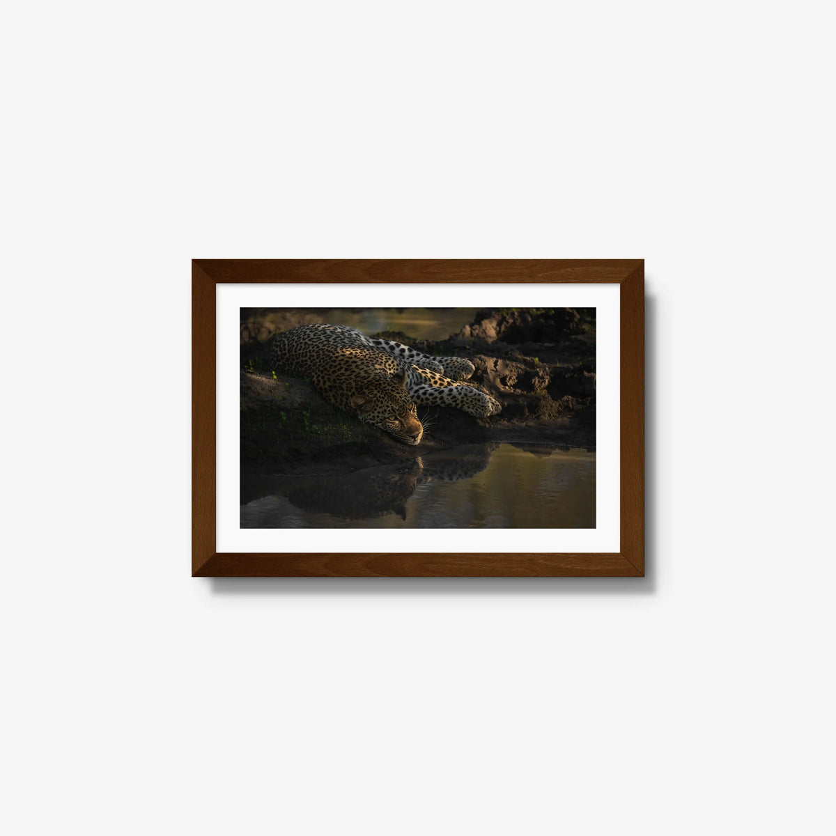Last light at the waterhole — small / brown / mat