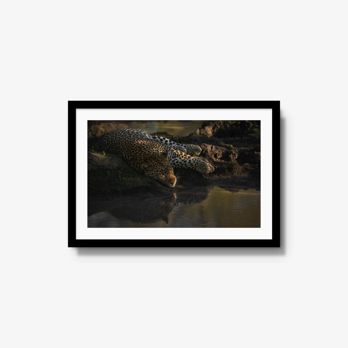 Last light at the waterhole — medium / black / mat