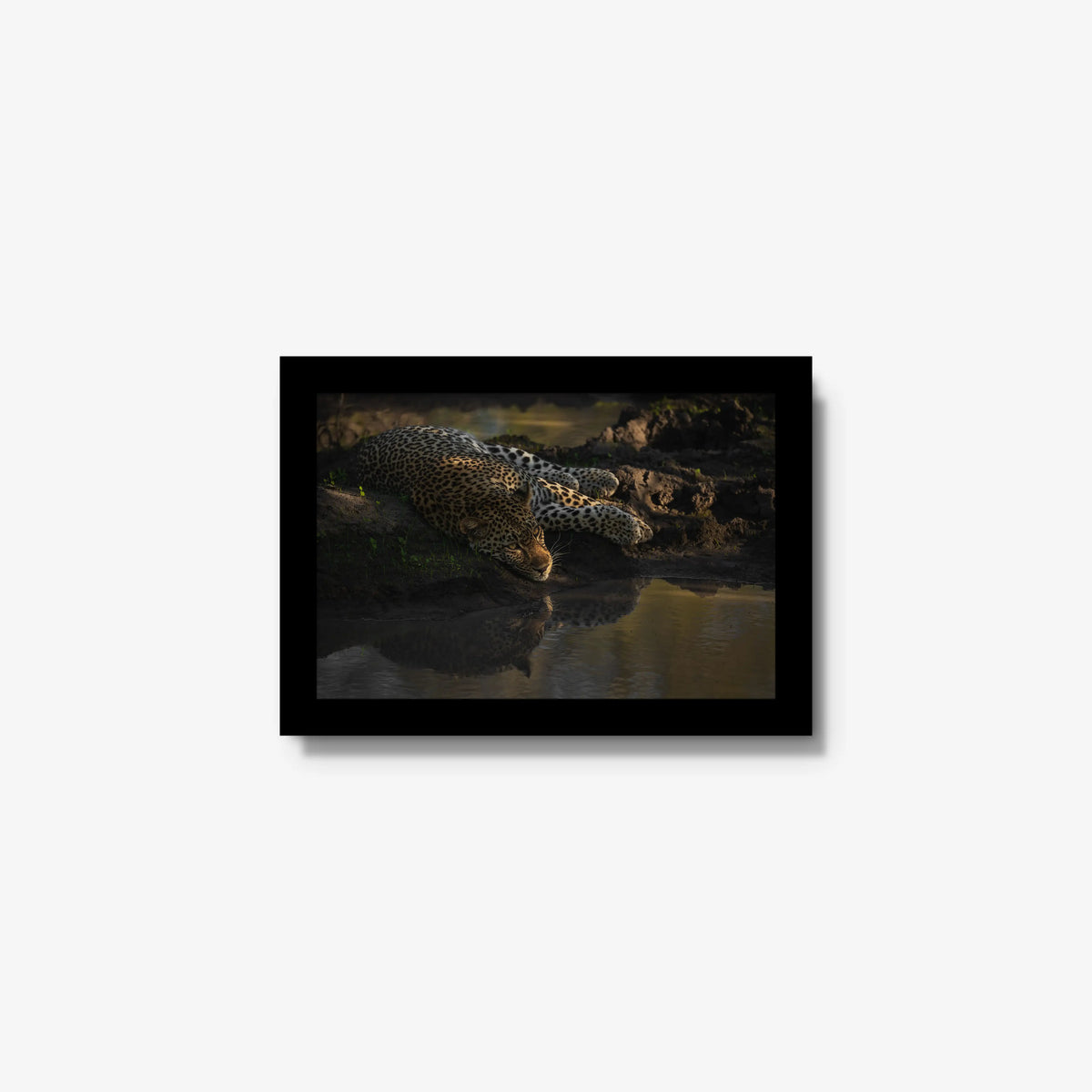Last light at the waterhole — mini / black / full