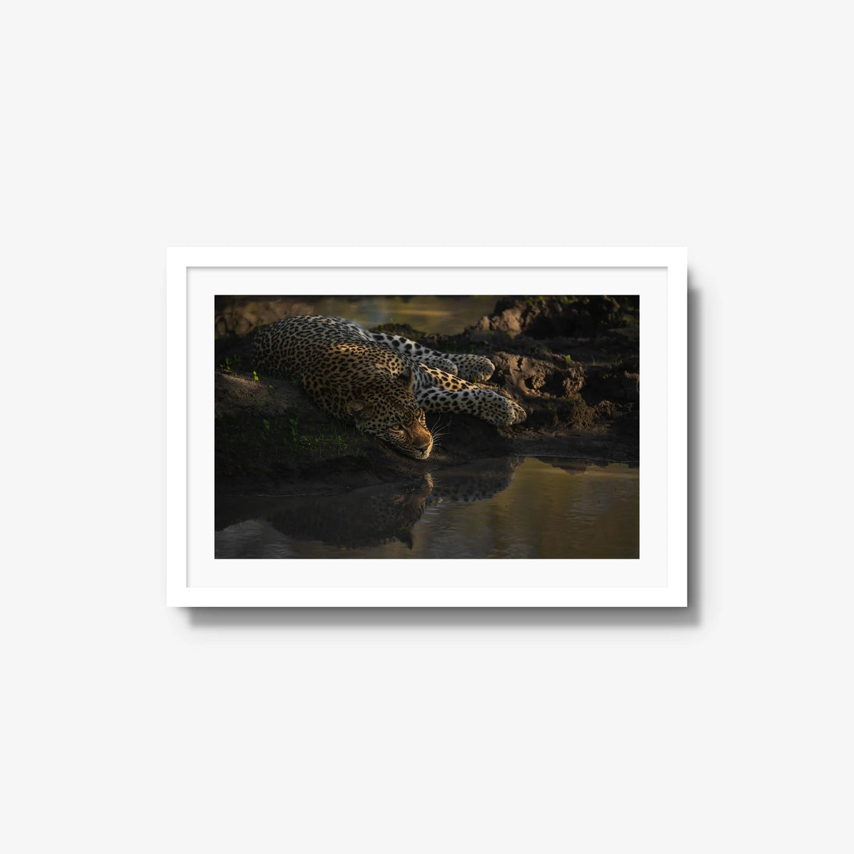 Last light at the waterhole — medium / white / mat