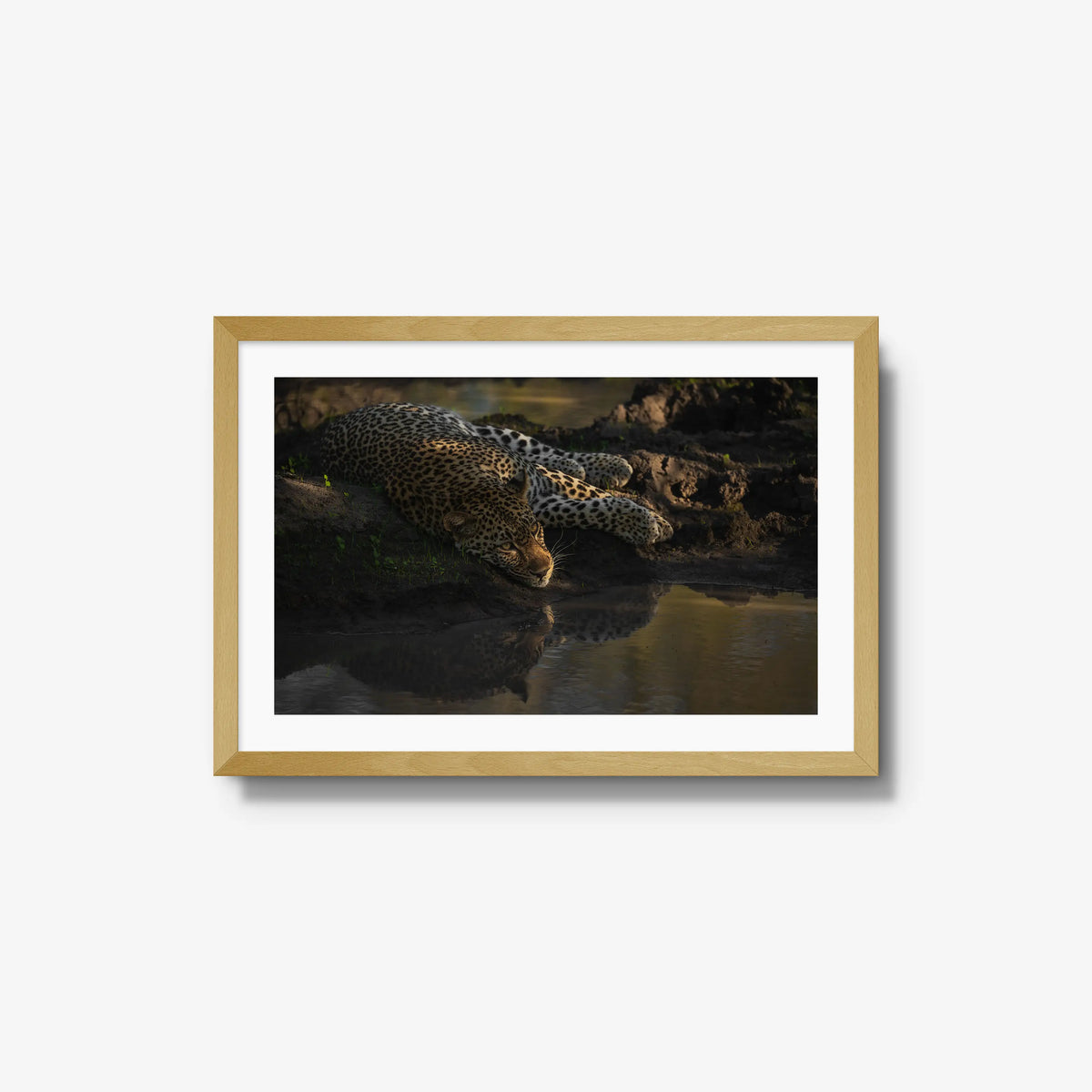 Last light at the waterhole — medium / natural / mat