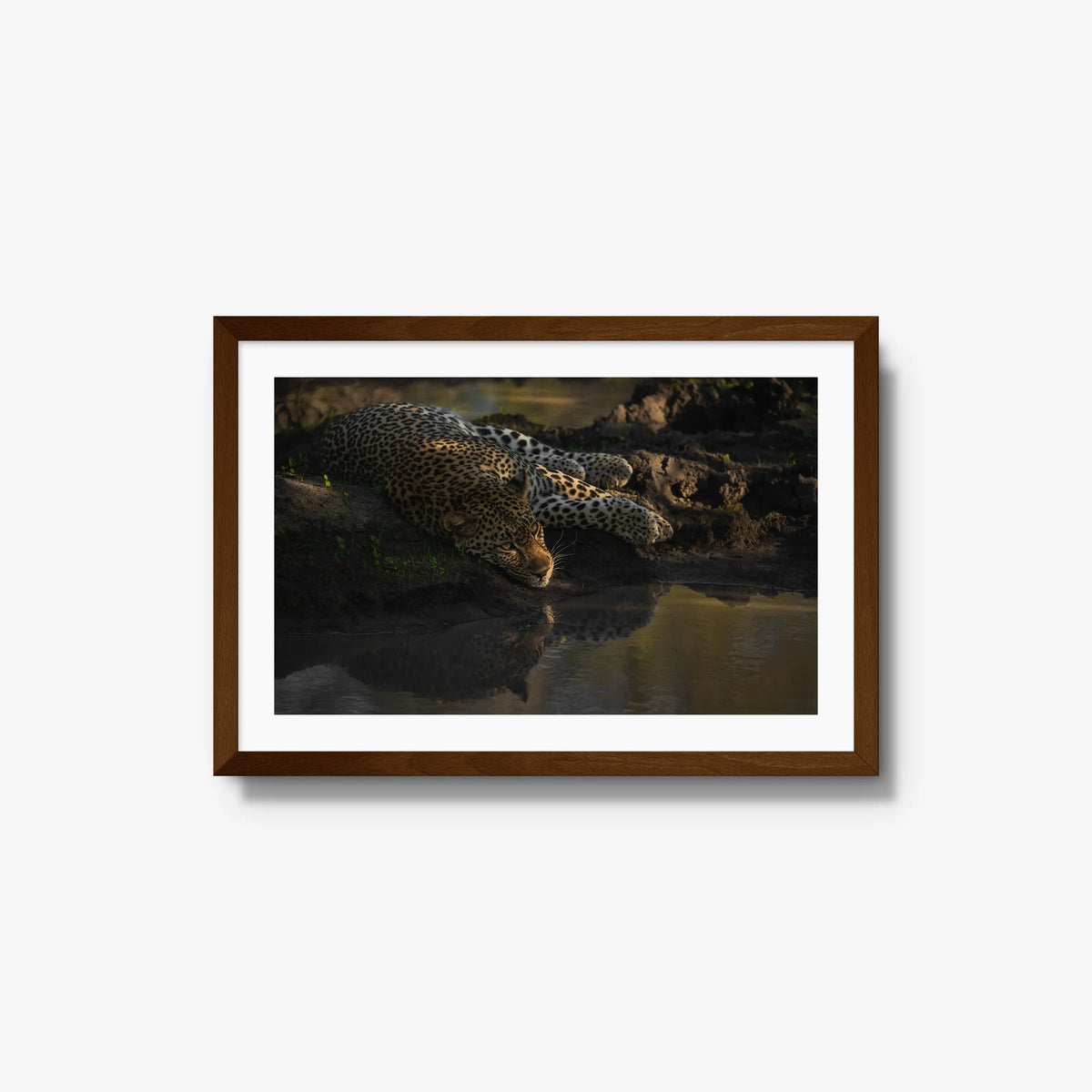 Last light at the waterhole — medium / brown / mat