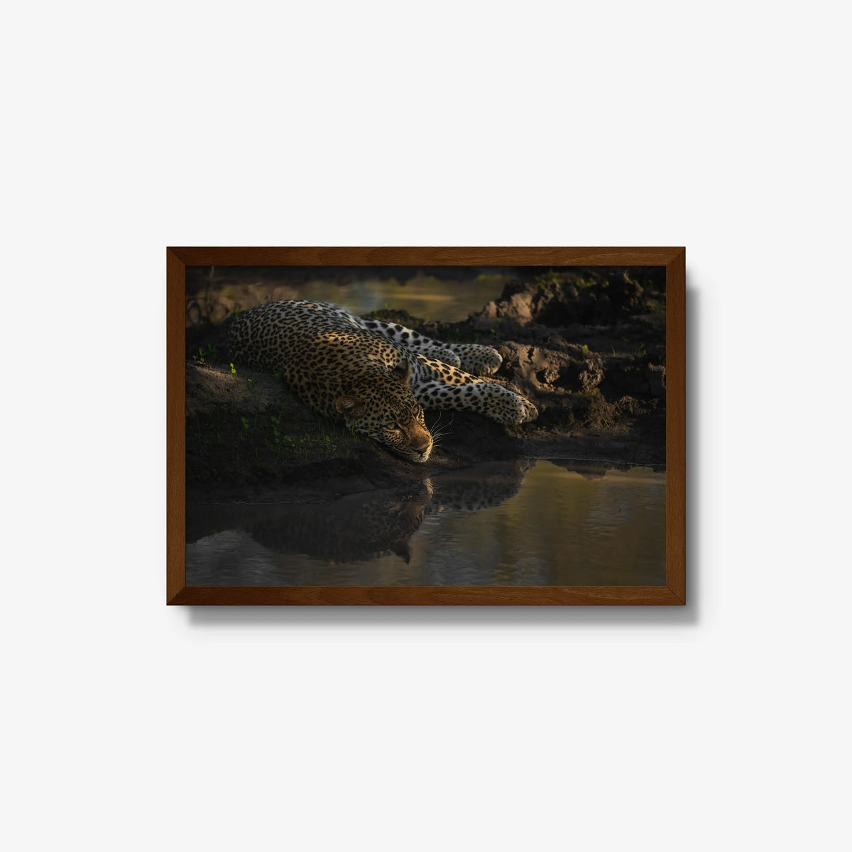 Last light at the waterhole — medium / brown / full