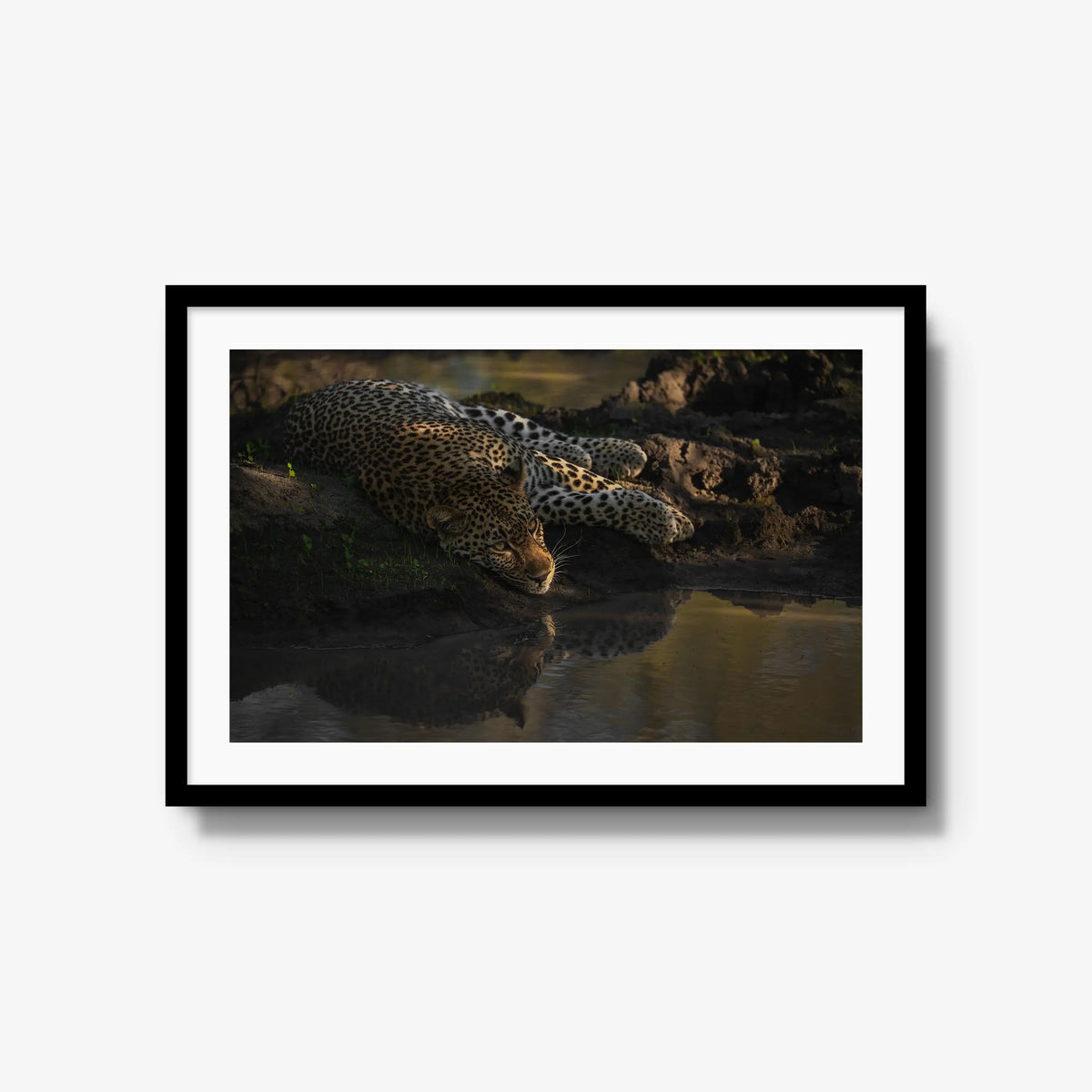 Last light at the waterhole — large / black / mat