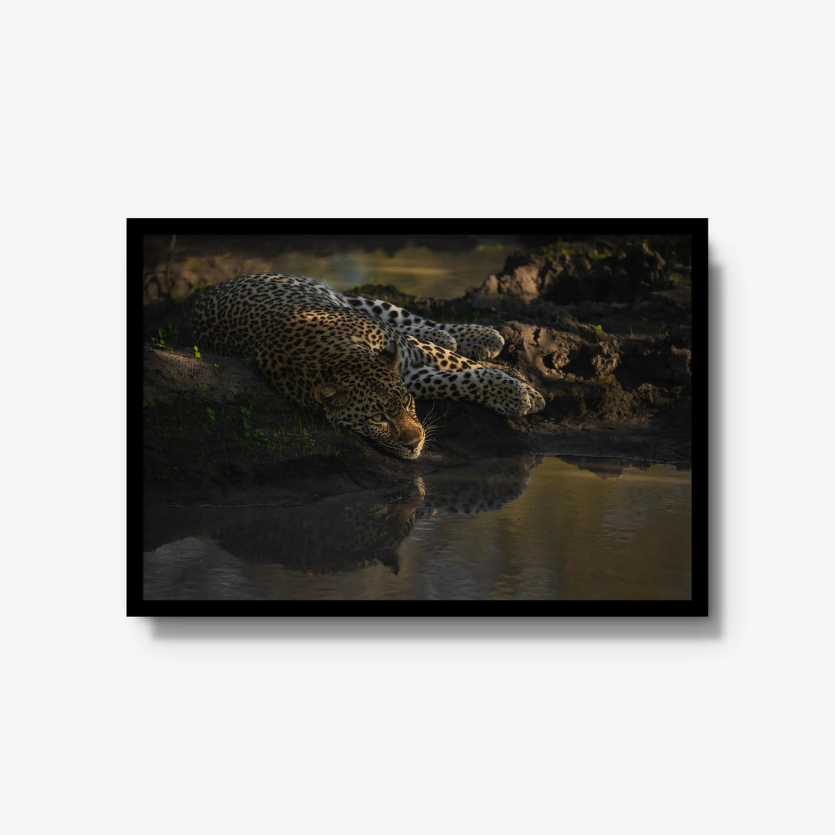 Last light at the waterhole — large / black / full
