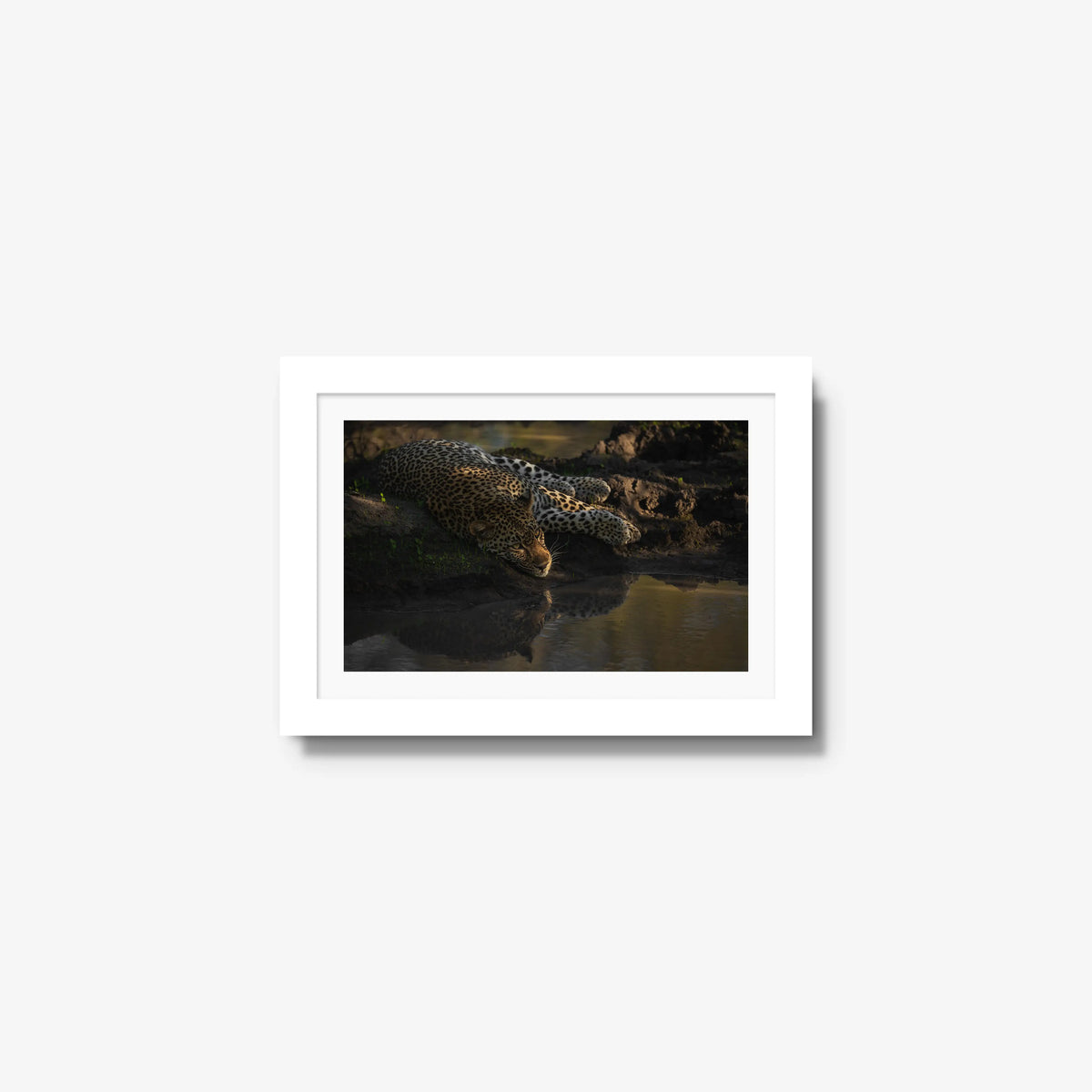 Last light at the waterhole — mini / white / mat