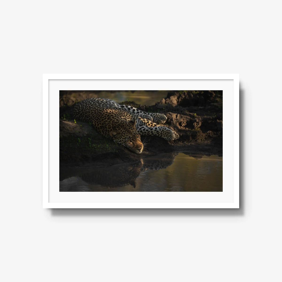Last light at the waterhole — large / white / mat