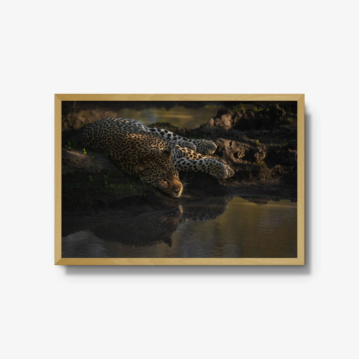 Last light at the waterhole — large / natural / full