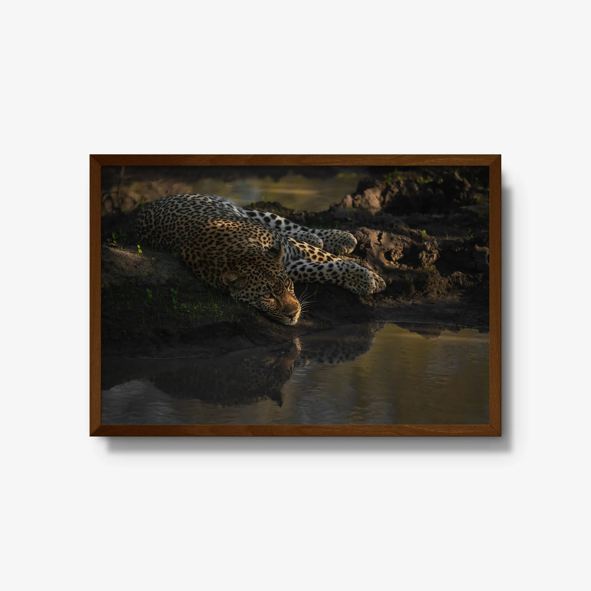 Last light at the waterhole — large / brown / full