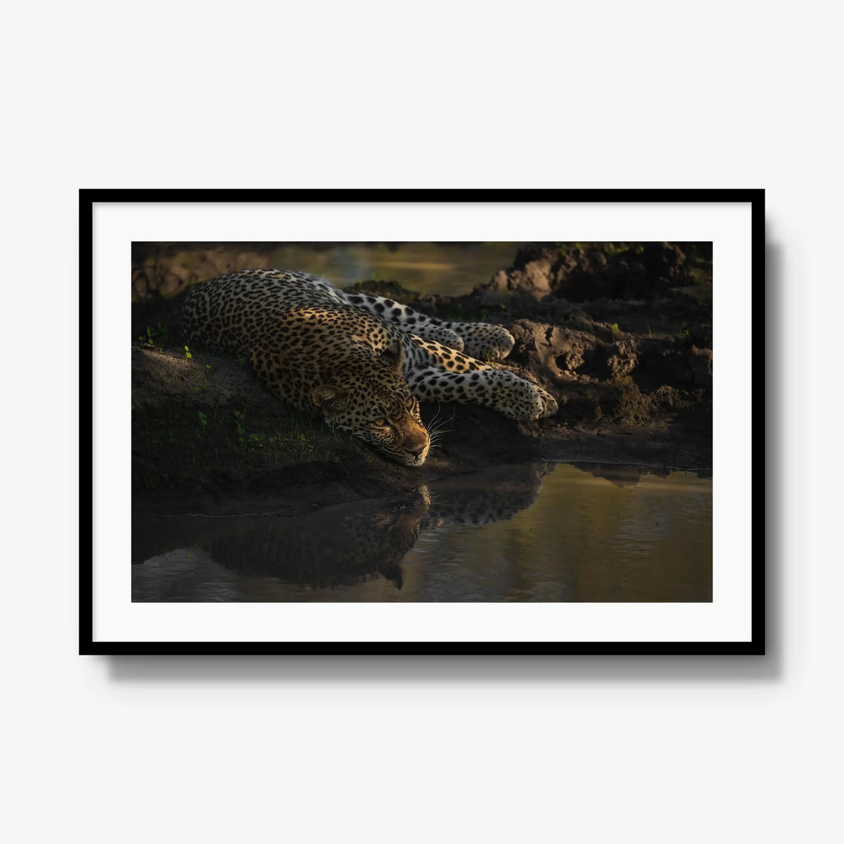 Last light at the waterhole — gallery / black / mat