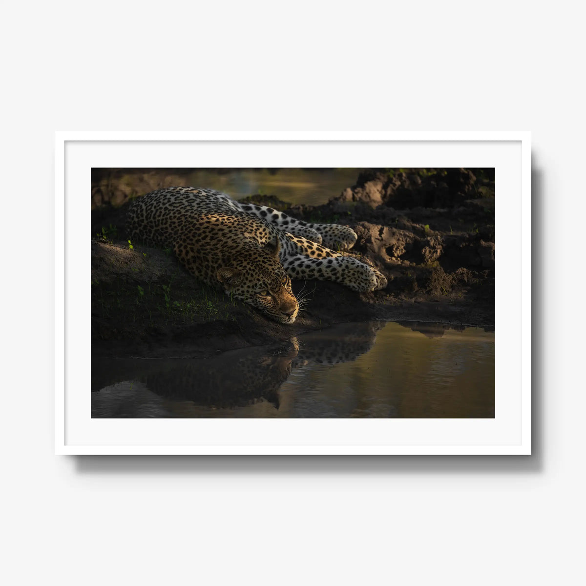 Last light at the waterhole — gallery / white / mat