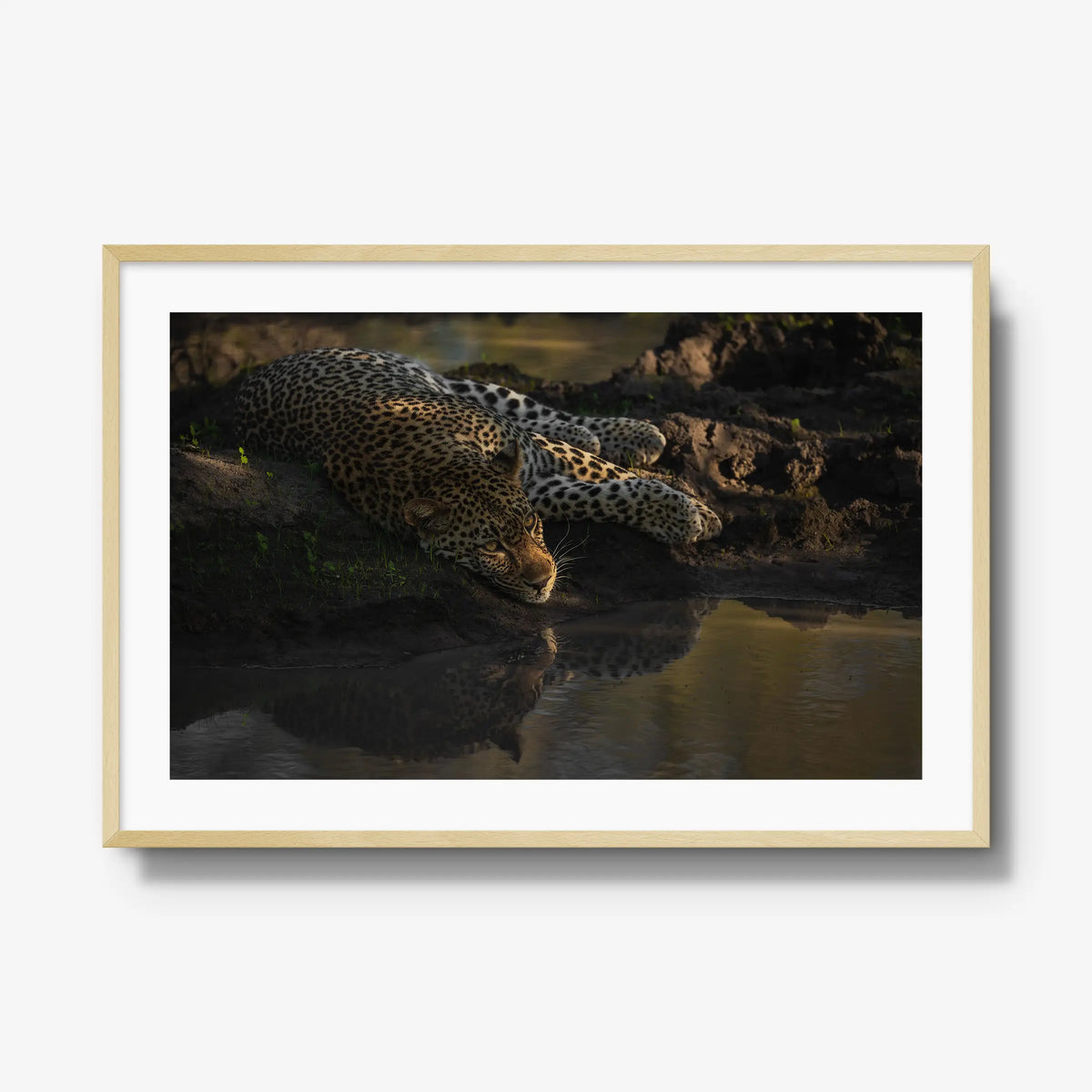 Last light at the waterhole — gallery / natural / mat