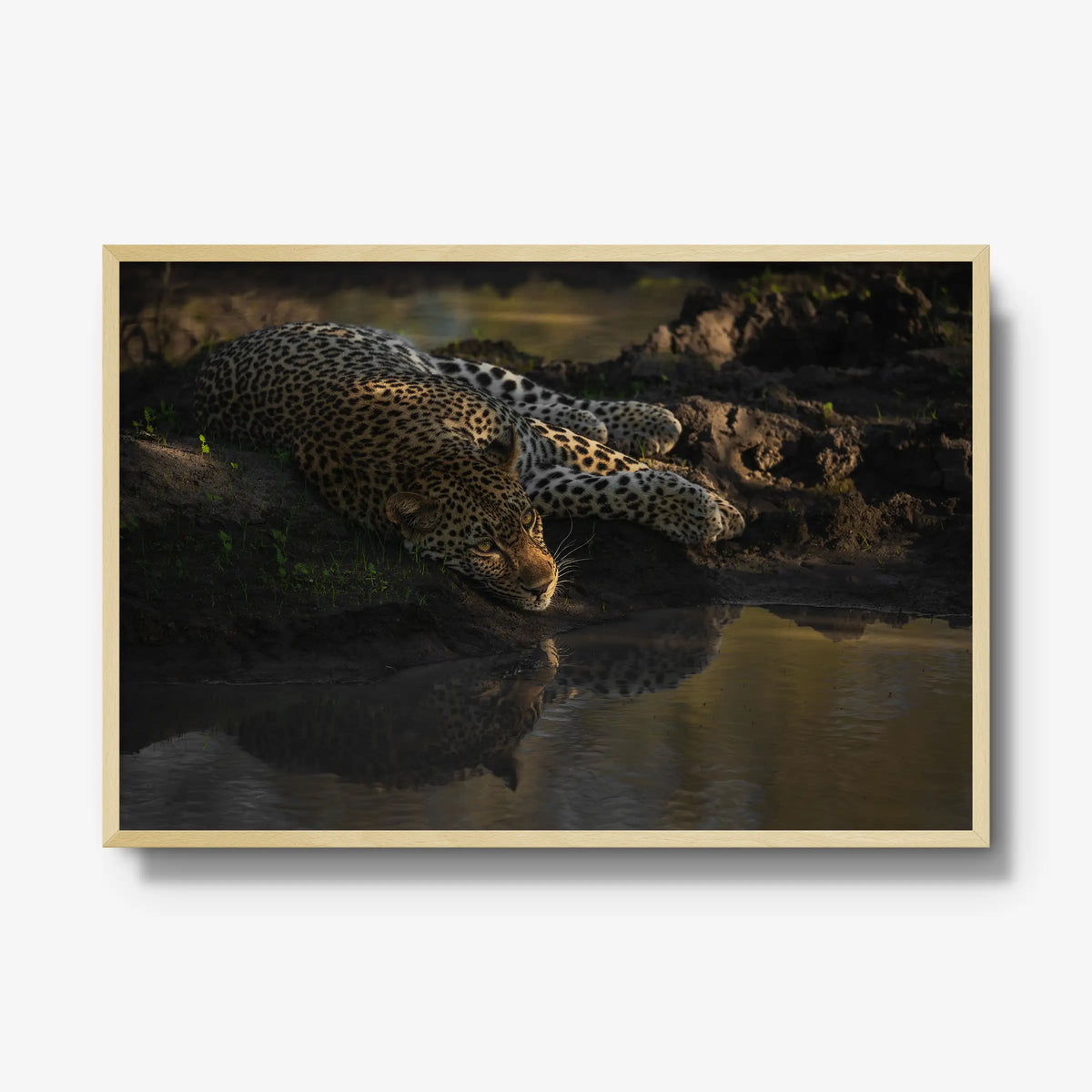 Last light at the waterhole — gallery / natural / full